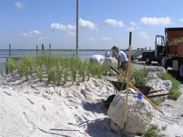 Day of Service at Fort DeSoto Sierra Club serves outdoors on 9 11